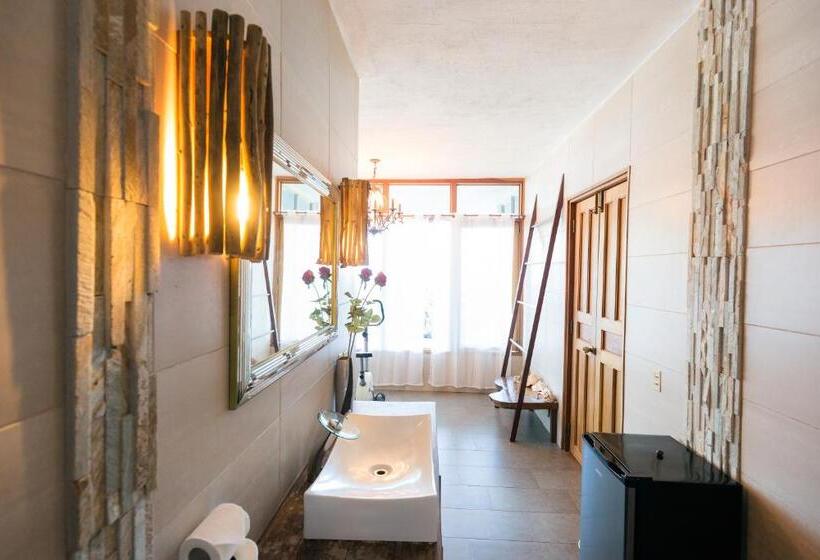 스탠다드 룸 킹사이즈 침대, Punta Duarte Garden Inn