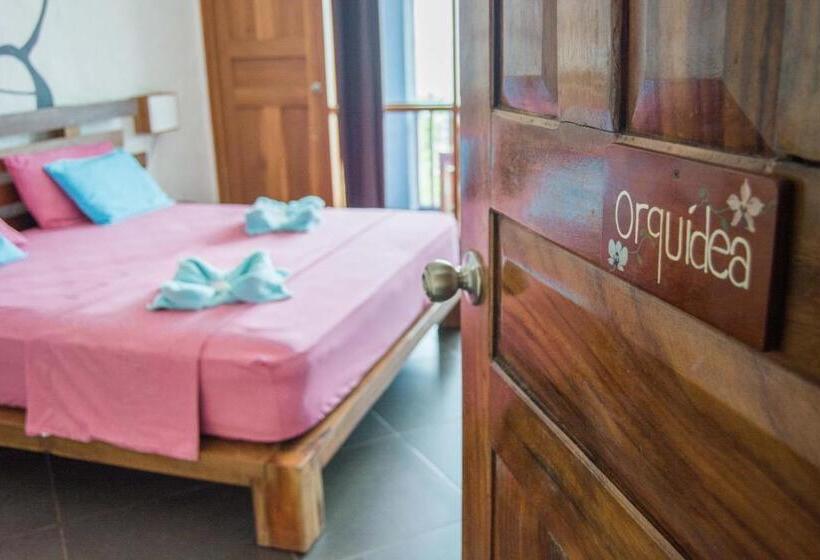 스탠다드 룸 바다 전망, Punta Duarte Garden Inn
