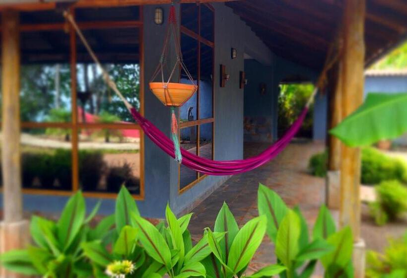 스탠다드 스튜디오 킹침대, Punta Duarte Garden Inn