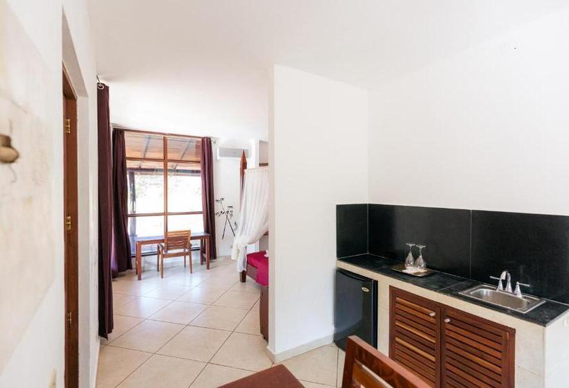 스탠다드 스튜디오 킹침대, Punta Duarte Garden Inn
