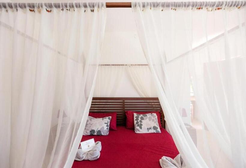 Estúdio standard Cama King, Punta Duarte Garden Inn