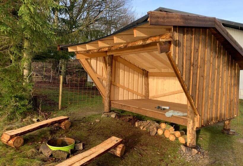 Студио Стандарт с Балконом, Farm Stay Happy Dogs Ranch