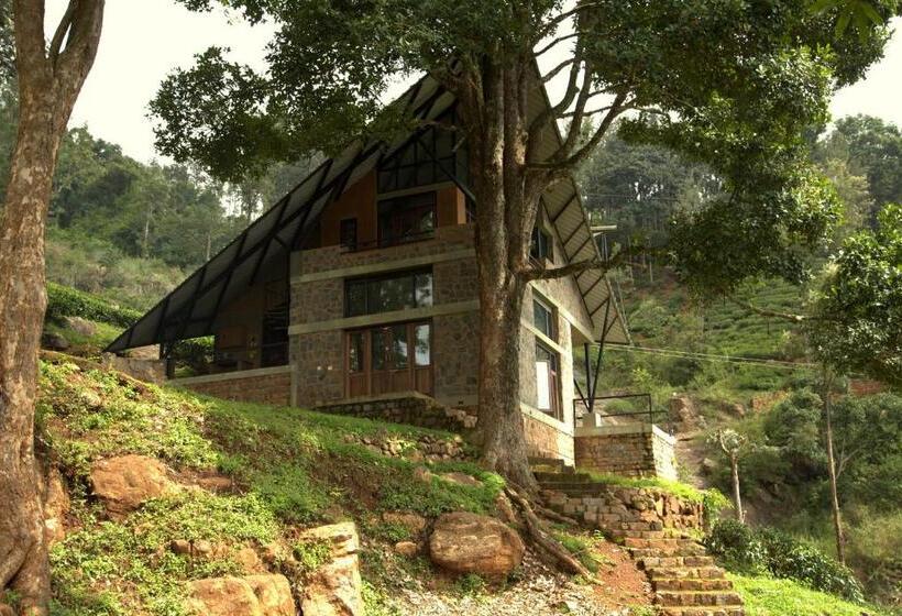 带大床的高级房间, O Land Plantation