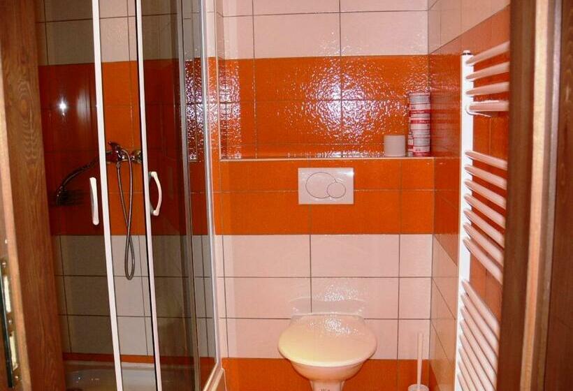 Номер Стандарт, Penzion Továrníkova Vila