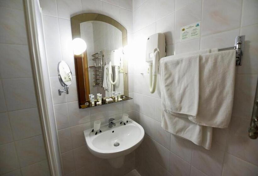 اتاق استاندارد, Zoloto Karpat