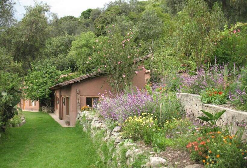 ویلای استاندارد با چشم‌انداز باغ, Andean Spirit Lodge