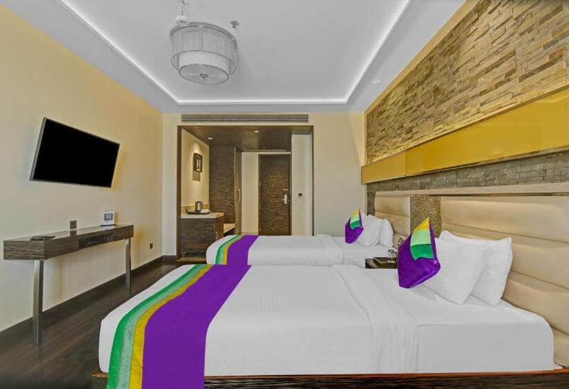اتاق لوکس, Treebo Premium Arista