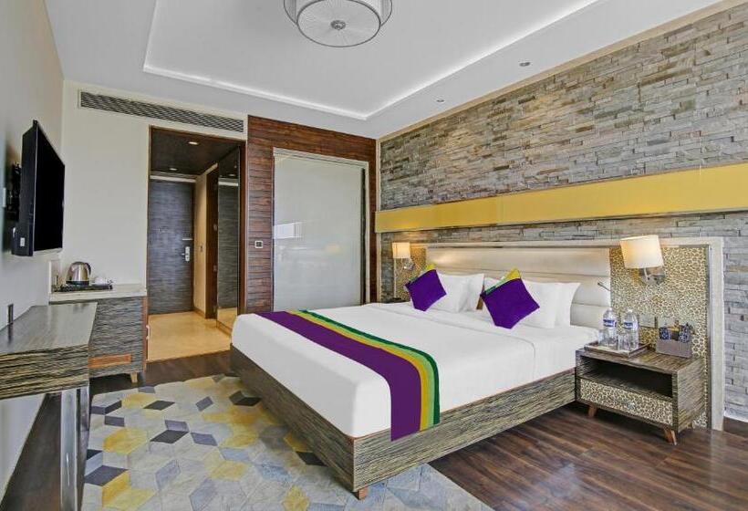 اتاق لوکس, Treebo Premium Arista