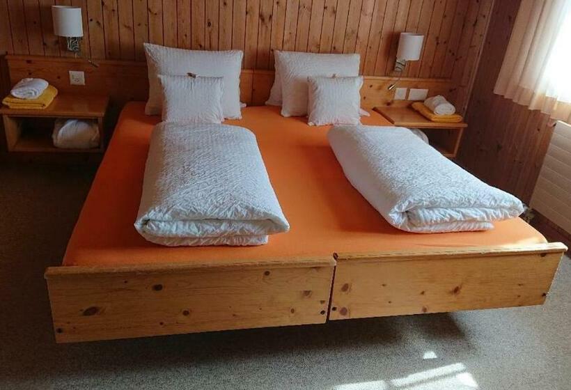 バス共有のスタンダードルーム, Gasthof Surselva