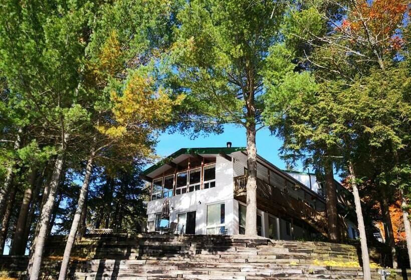 Полулюкс, Sunny Point Resort Ltd