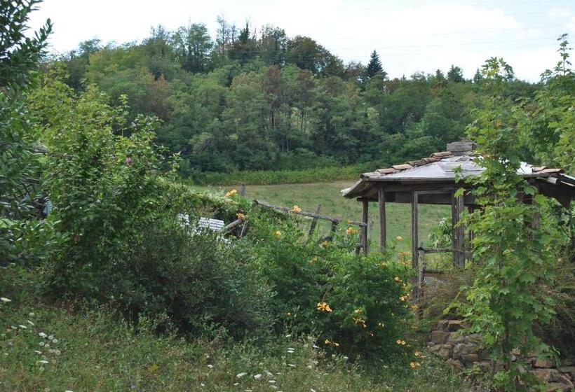 스탠다드 룸 킹사이즈 침대, Agriturismo Petrarosa