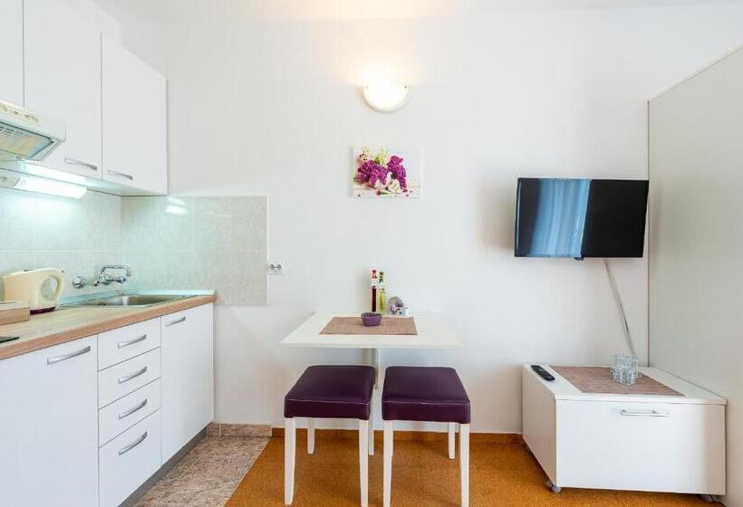 استودیو ساده, Cina Apartments
