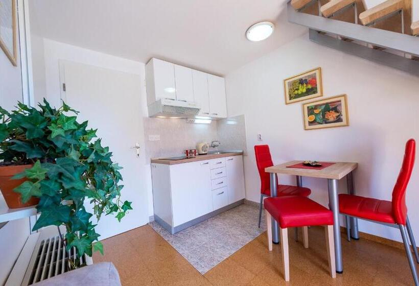 استودیو استاندارد با چشم‌انداز دریا و بالکن, Cina Apartments