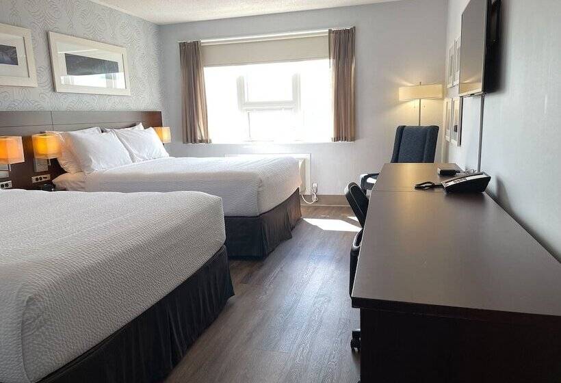 스탠다드 룸 더블 침대 2개, Rodd Moncton