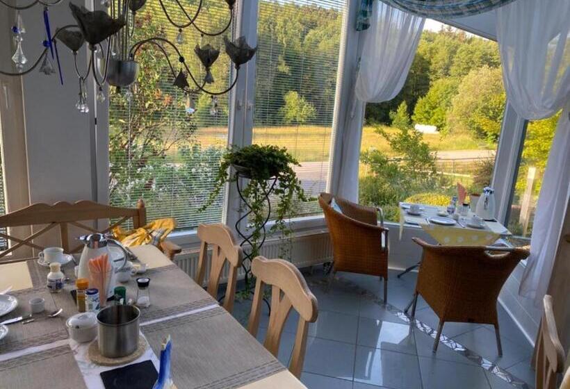 Номер Стандарт с Балконом, Pension Liesbachtal Direkt Am Waldrand Bayerische Rhön