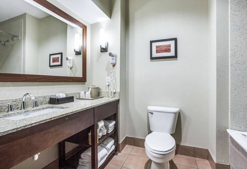 اتاق استاندارد با 2 تخت دوبل, Comfort Inn & Suites Love Field Dallas Market Center