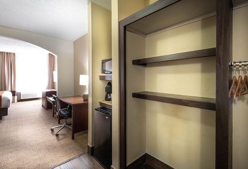 Номер Стандарт 2 Двуспальные Кровати, Comfort Inn & Suites Love Field Dallas Market Center