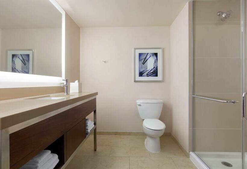 اتاق لوکس, Hilton New York Times Square