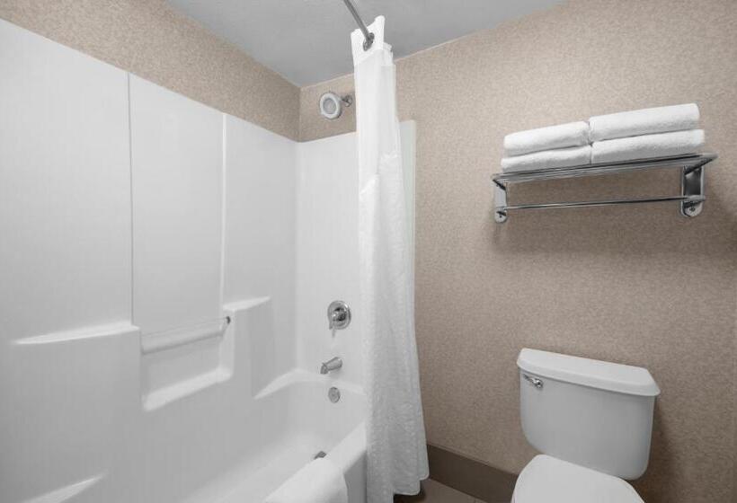 سوئیت با تخت بزرگ, Holiday Inn Express Hotel & Suites Scottsdale   Old Town, An Ihg