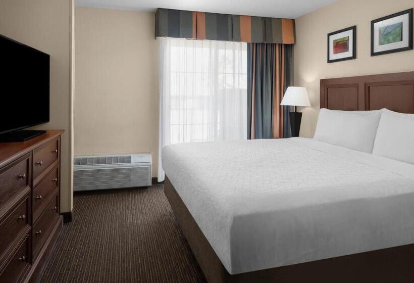 سوئیت با تخت بزرگ, Holiday Inn Express Hotel & Suites Scottsdale   Old Town, An Ihg