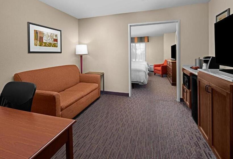 سوئیت با بالکن, Holiday Inn Express Hotel & Suites Scottsdale   Old Town, An Ihg