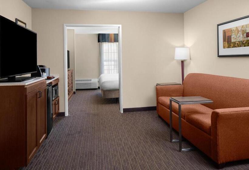 سوئیت برای معلولان, Holiday Inn Express Hotel & Suites Scottsdale   Old Town, An Ihg