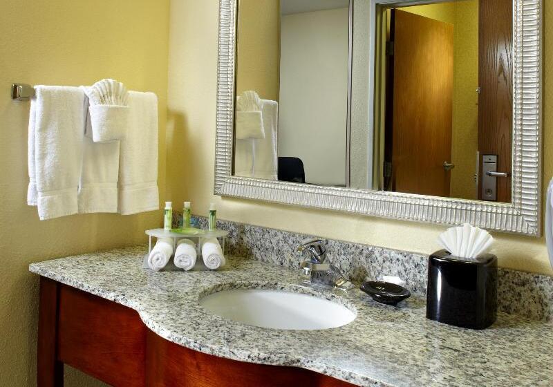 سوئیت با تخت بزرگ, Holiday Inn Express Hotel & Suites Scottsdale   Old Town, An Ihg