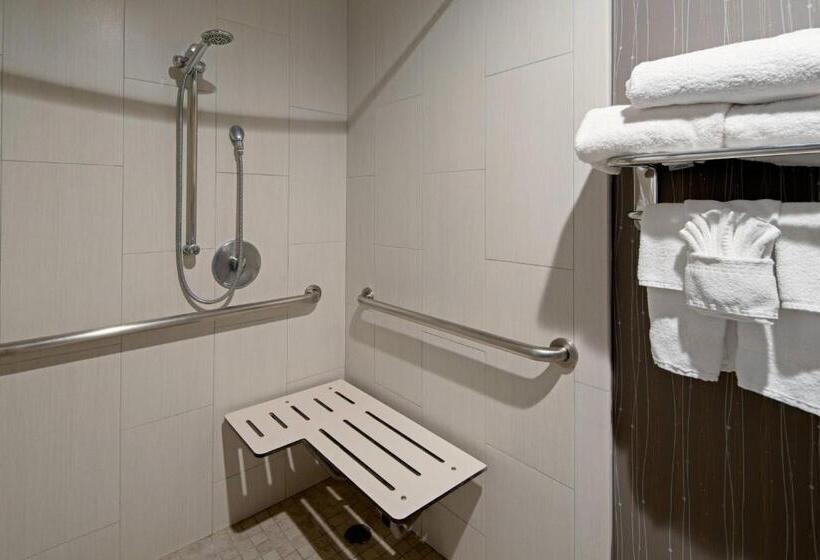 장애인을 위한 킹사이즈 침대 스탠다드 룸, Courtyard By Marriott Oxnard/ventura