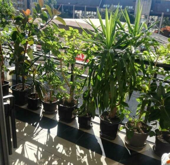 اتاق استاندارد با بالکن, Rooms And Apartments S