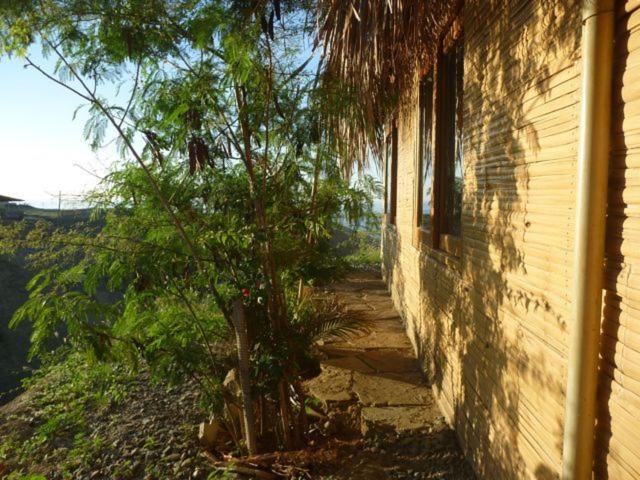 بانگلوی استاندارد, Oceanic Bungalows