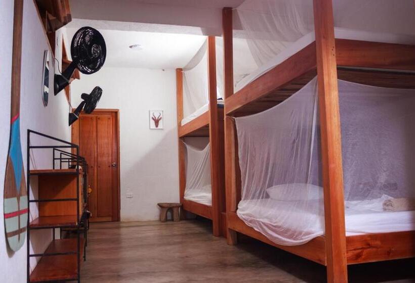 공동 객실, Casa Chapolin Boutique Guesthouse