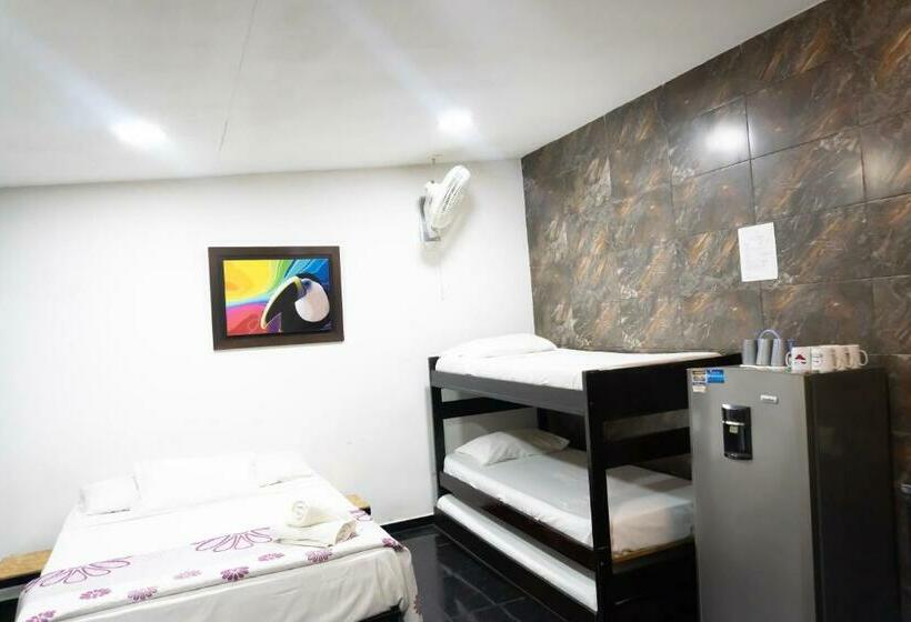 استودیو خانوادگی, Family House Rodadero