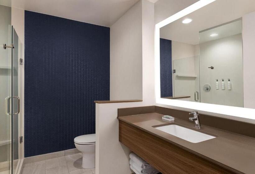 Standard-invahuone King-vuode, Fairfield By Marriott Inn & Suites Bonita Springs