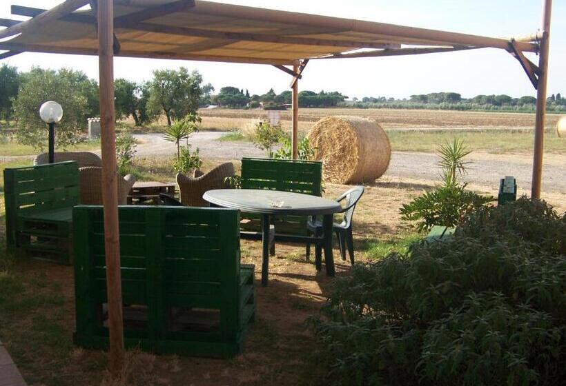 Номер Basic, Agriturismo La Nocciolina