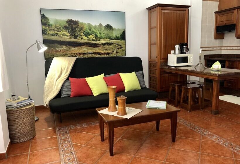 آپارتمان 1 خوابه با چشم‌انداز دریا, Apartamentos Los Verodes