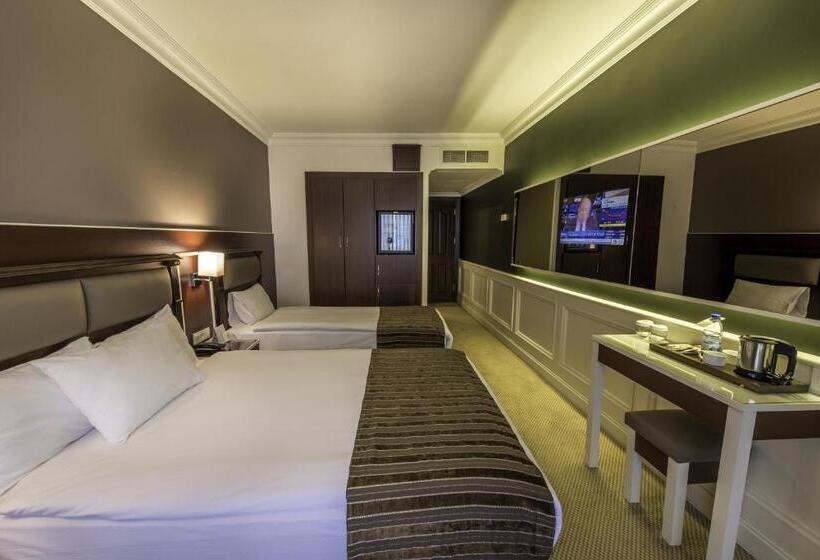 اتاق خانوادگی, Seminal Hotel Taksim