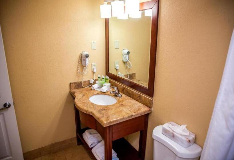 Стандартный Номер Кровать Кинг, Holiday Inn Express Hotel & Suites Cocoa Beach, An Ihg