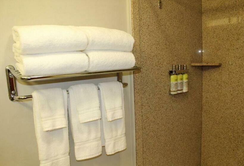 스위트 킹사이즈 침대, Holiday Inn Express Hotel & Suites Tucson Mall, An Ihg