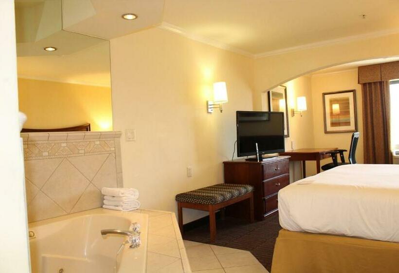 스위트 킹사이즈 침대, Holiday Inn Express Hotel & Suites Tucson Mall, An Ihg