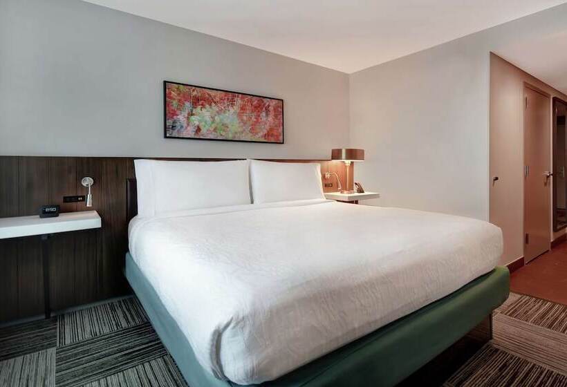 ジュニアスイート, Hilton Garden Inn Houston/galleria Area