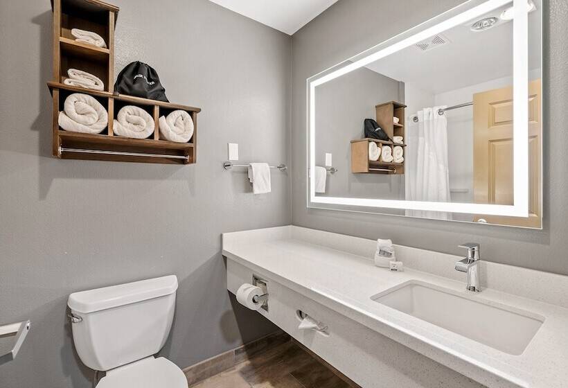 Люкс, Holiday Inn Express Hotel & Suites   Paso Robles, An Ihg