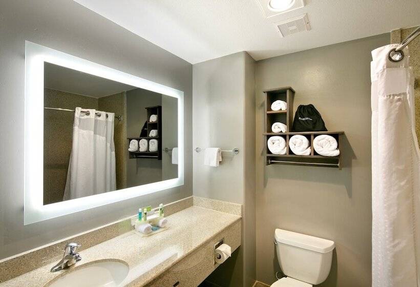Номер Стандарт, Holiday Inn Express Hotel & Suites   Paso Robles, An Ihg
