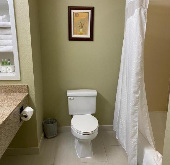 Номер Deluxe Кровать Кинг, Marguerite South Anaheim   Garden Grove, Trademark Collection By Wyndham