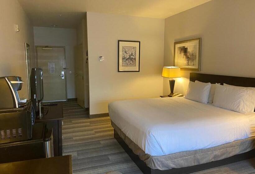 Номер Стандарт Кровать Кинг Адаптированный для Инвалидов, Marguerite South Anaheim   Garden Grove, Trademark Collection By Wyndham
