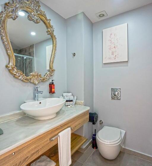 Номер Стандарт Внутренний, Blue Dreams Resort Bodrum Ultra All Inclusive