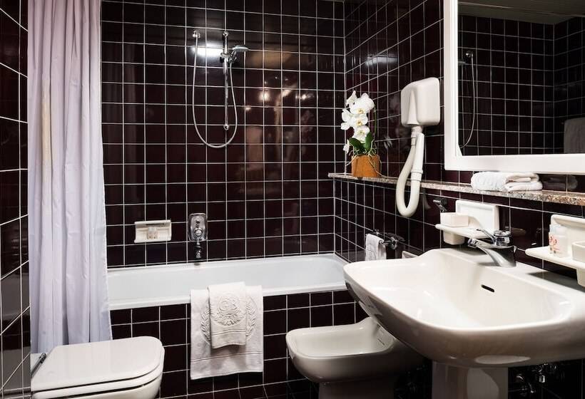 اتاق استاندارد, Metropole