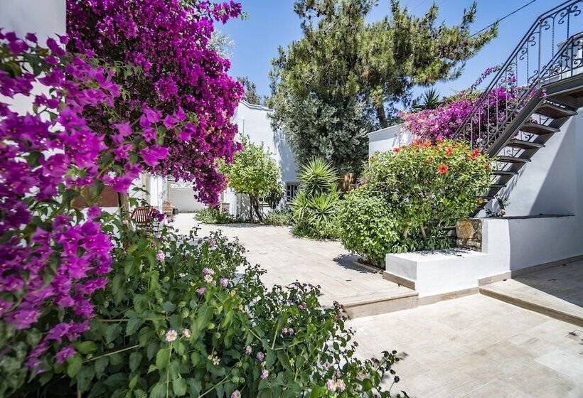 Номер Superior, Manzara Boutique Hotel   Adults Only