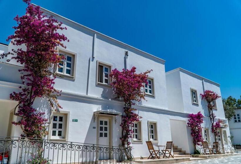 Номер Deluxe, Manzara Boutique Hotel   Adults Only
