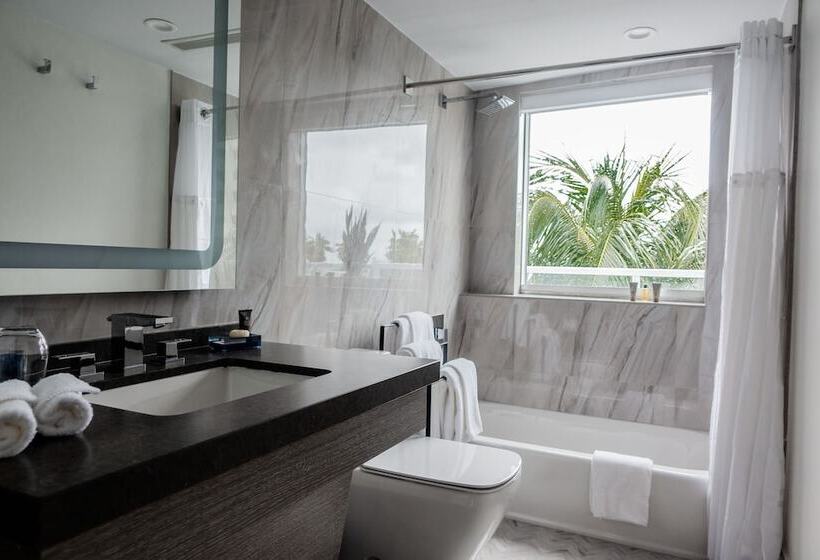 阁楼房, The Sagamore Hotel South Beach