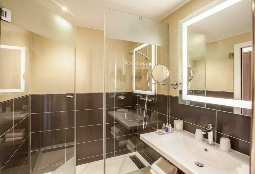 수피리어 룸 공원 전망, Crowne Plaza Lyon   Cité Internationale